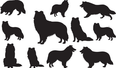 Collie Silhouette on White Background