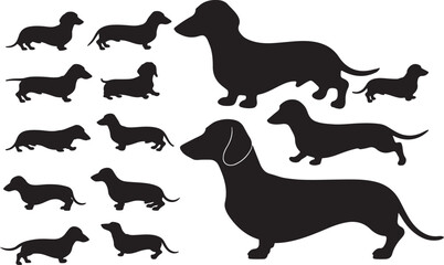 Dachshund Silhouette on White Background 