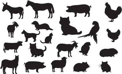 Domestic Animals Silhouette on White Background