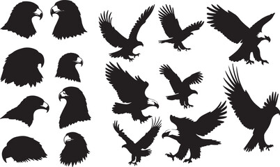 Eagle Silhouettes on White Background