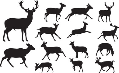 Fallow Deer Silhouettes