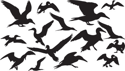 Gannet Silhouettes