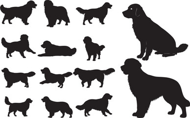 Golden Retriever Silhouette on White Background