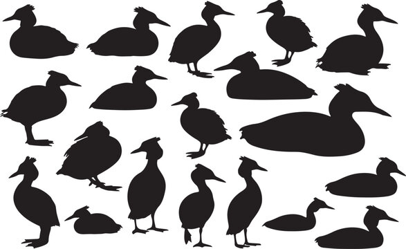 Grebe Silhouettes