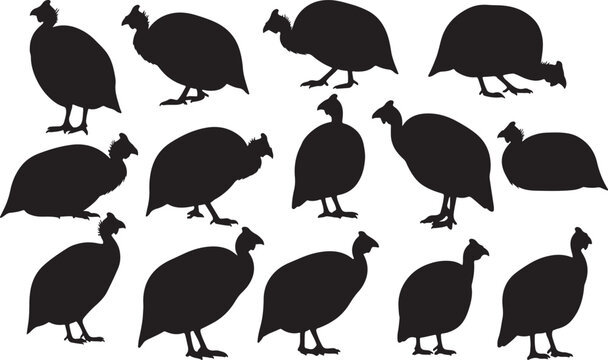 Guinea Fowl Silhouettes