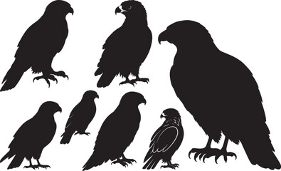 Hawk Side View Silhouette