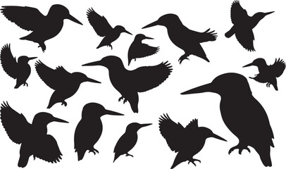 Kingfisher Silhouettes