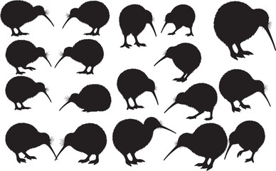 Kiwi Bird Silhouettes