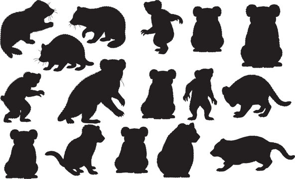 Kodkod Silhouettes