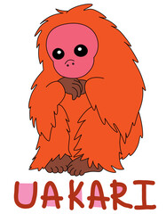 red haired bald sitting uakari with colorful text below hand written