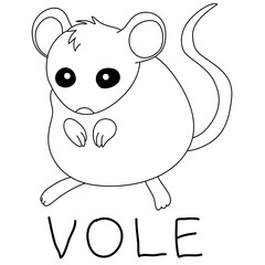 little funny vole with text below hand written