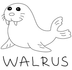 full-length walrus with tusks with text below hand written