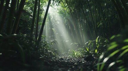 Serene Sunlight Filtering Through Lush Bamboo Forest Canopy