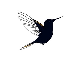 Obraz premium Elegant hummingbird illustration, showcasing vibrant wings and tropical beauty, perfect for nature art and wildlife designs