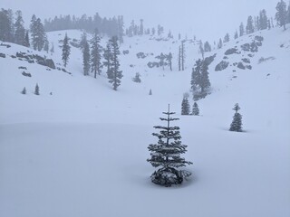 Winter storm in the Tahoe area