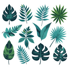 Tropical Leaves Vector Set: Isolated Botanical Illustration