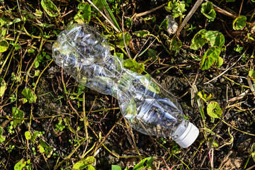 Top view of crumpled or crushed disposable plastic bottle on the ground. Leaves.