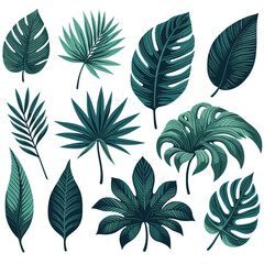Tropical Leaf Collection: Botanical Vector Art for Design
