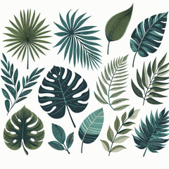 Tropical Foliage Collection: Botanical Vector Illustration