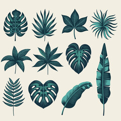 Fototapeta premium Tropical Leaves Collection: Botanical Illustration Set