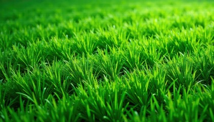 Fototapeta premium Intricate emerald stripes, manicured lawn texture, meadow, even, texture