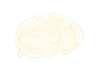 Isolated round flat spring roll pancake