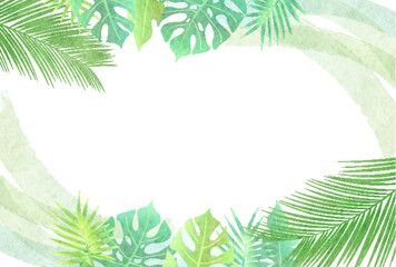 Fototapeta premium 新緑 葉 観葉植物 背景