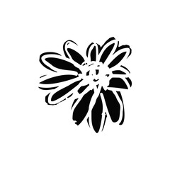 Hand drawn black ink abstract daisy flower silhouette isolated on white background. Monochrome scribble style bloom. Sketchy minimalist floral design.