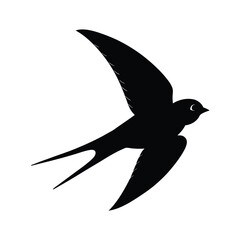 Barn Swallow Silhouette Vector Art and Black and White Barn Swallow Bird Illustration