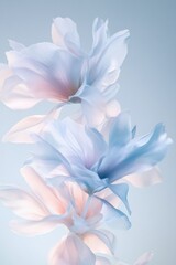 serene blend of pastel floral shapes swirling gracefully against soft monochrome background suggests ethereal beauty
