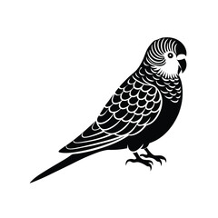 Budgerigar (Budgie) Silhouette Vector Art and Black and White Budgerigar (Budgie) Bird Illustration