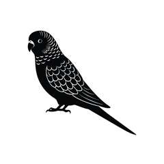 Budgerigar (Budgie) Silhouette Vector Art and Black and White Budgerigar (Budgie) Bird Illustration