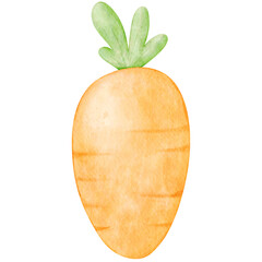 Cute Watercolor carrot vegetable cartoon illustration
