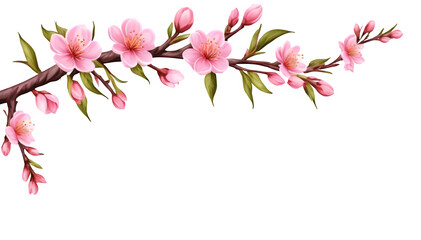 Peach tree branch loaded with pink flowers sits at the corner, blooming beautifully against a clear background