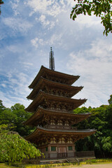 Fototapeta premium The five-story pagoda of Daigo-ji temple. Kyoto Japan 