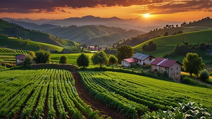 Landscape photograph capturing a lush agricultural scene at sunset.