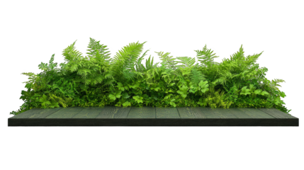 Flourishing indoor plant, cultivating green oasis in a sunlit room indoor