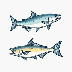 fish isolated on white