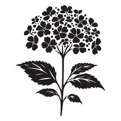 Black Hydrangea Flower Vector Illustration for Garden Decorative Design