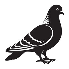 Pigeon Illustration Vector Silhouette Bird Design Graphic Resource