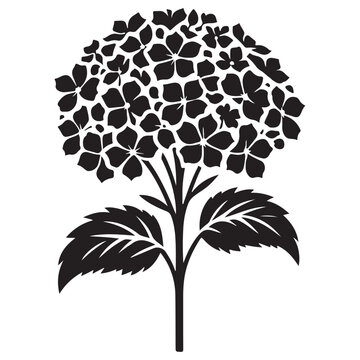black hydrangea flower silhouette on white clip art preview