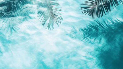 Tropical palm shadows on aqua water create serene atmosphere