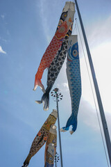 鯉のぼりセット