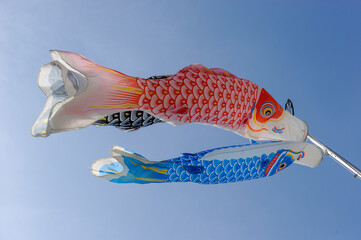 風になびく鯉のぼり
