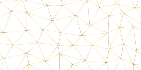 Abstract geometric background with connecting dots and lines with low poly triangle shapes. Polygonal Mesh Background Vector design digital technology concept Global network connection data structure.