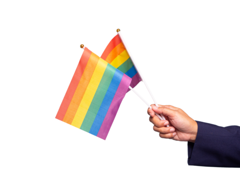 Hand holding two small rainbow pride flags on a transparent background.