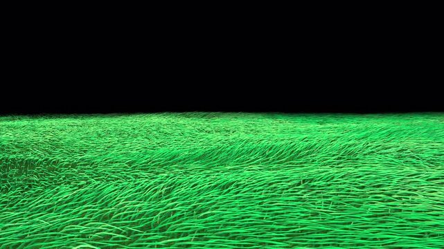 traveling to grass field . Camera zoom in or dolly in to grass field looping 3d animation rendering .