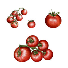 Set of Watercolor illustration of a wooden cutting board with tomatoes, onion, garlic, herbs, and sauce. Perfect for packaging, menus, cookbooks, advertising, textiles, and interior design.