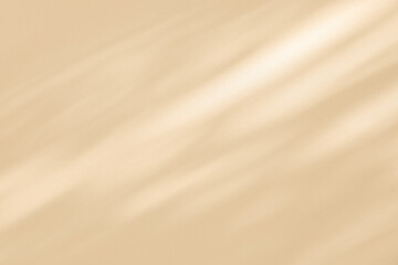 Wall interior background, studio and backdrops show products. with leaf shadow from window color beige and white. background for text insertion and presentation of product	