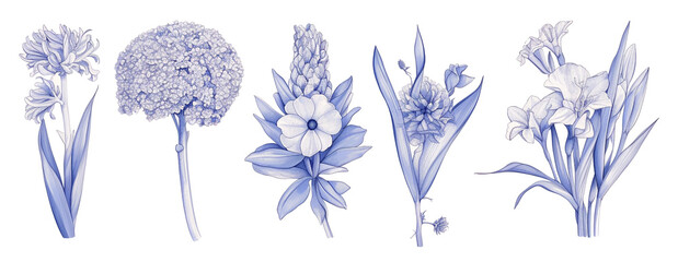Bundled Collection set of flowers line art paintings.